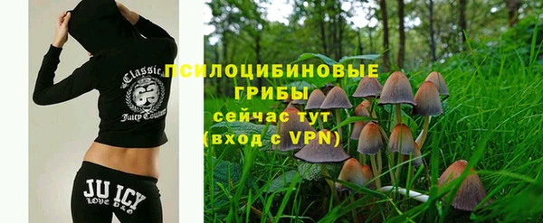 мяу мяу мука Горняк